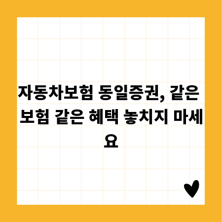 자동차보험 동일증권, 같은 보험 같은 혜택 놓치지 마세요