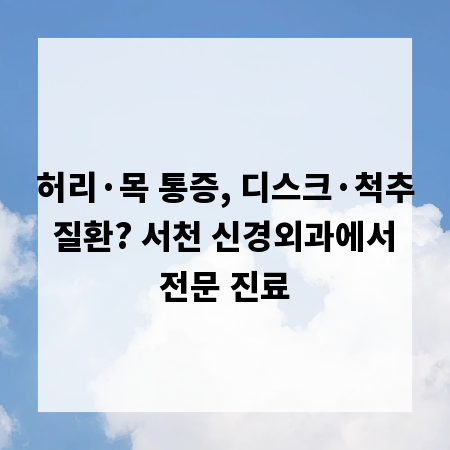 허리&middot;목 통증, 디스크&middot;척추 질환? 서천 신경외과에서 전문 진료
