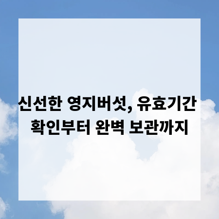 신선한 영지버섯, 유효기간 확인부터 완벽 보관까지