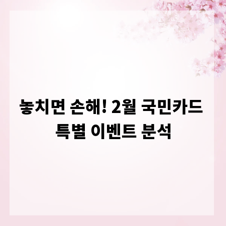 놓치면 손해! 2월 국민카드 특별 이벤트 분석