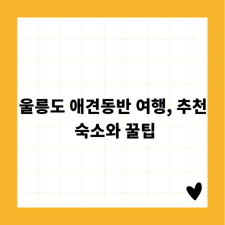 울릉도 애견동반 여행, 추천 숙소와 꿀팁