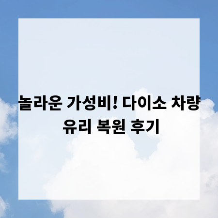 놀라운 가성비! 다이소 차량 유리 복원 후기