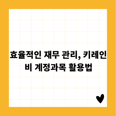 효율적인 재무 관리, 키레인비 계정과목 활용법