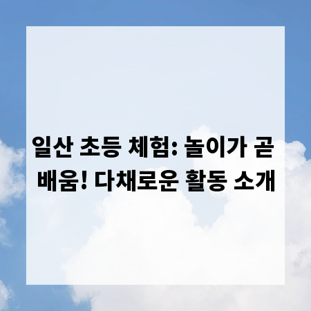 일산 초등 체험: 놀이가 곧 배움! 다채로운 활동 소개