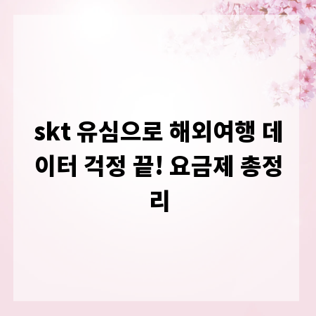 skt 유심으로 해외여행 데이터 걱정 끝! 요금제 총정리
