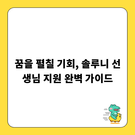 꿈을 펼칠 기회, 솔루니 선생님 지원 완벽 가이드