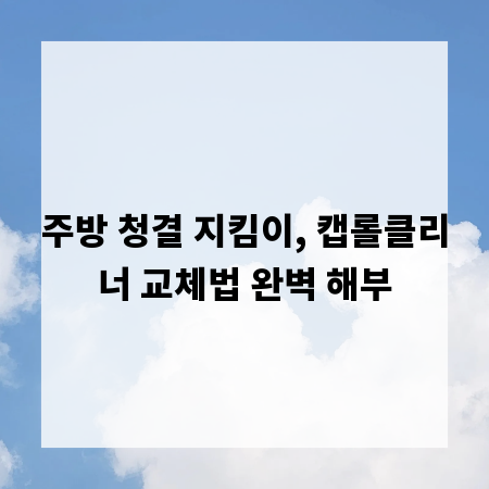 주방 청결 지킴이, 캡롤클리너 교체법 완벽 해부