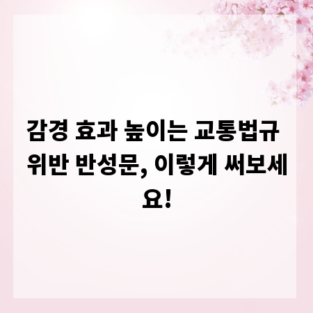 감경 효과 높이는 교통법규 위반 반성문, 이렇게 써보세요!