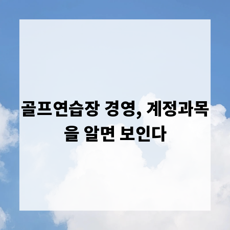 골프연습장 경영, 계정과목을 알면 보인다