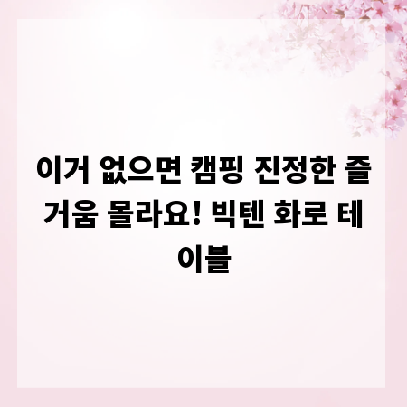 이거 없으면 캠핑 진정한 즐거움 몰라요! 빅텐 화로 테이블
