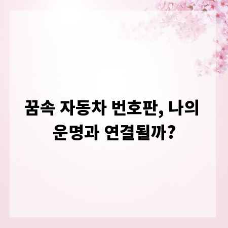 꿈속 자동차 번호판, 나의 운명과 연결될까?