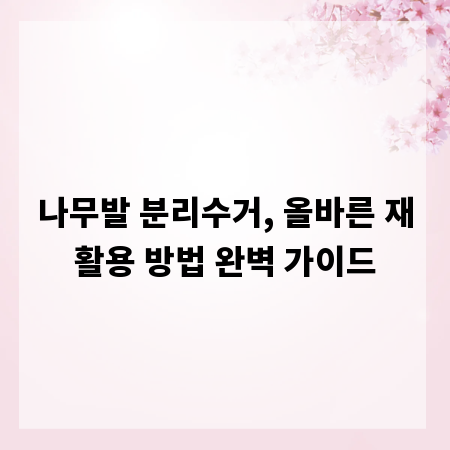 나무발 분리수거, 올바른 재활용 방법 완벽 가이드