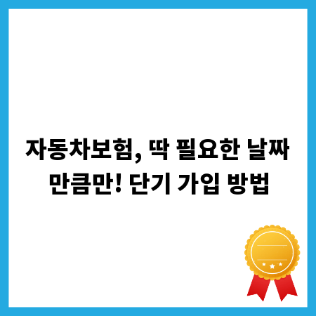 자동차보험, 딱 필요한 날짜만큼만! 단기 가입 방법