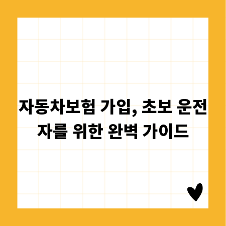 자동차보험 가입, 초보 운전자를 위한 완벽 가이드