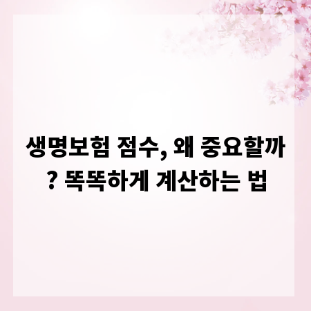 생명보험 점수, 왜 중요할까? 똑똑하게 계산하는 법