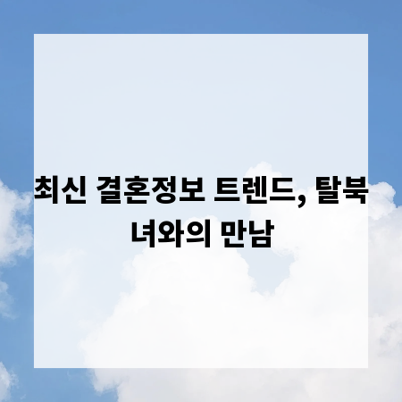 최신 결혼정보 트렌드, 탈북녀와의 만남