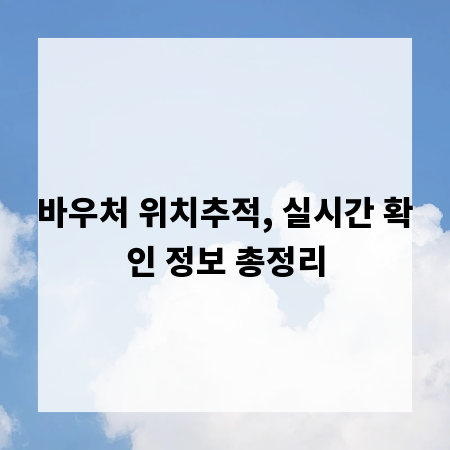 바우처 위치추적, 실시간 확인 정보 총정리