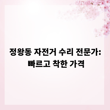 정왕동 자전거 수리 전문가: 빠르고 착한 가격