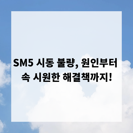 SM5 시동 불량, 원인부터 속 시원한 해결책까지!