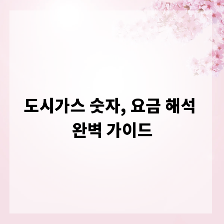 도시가스 숫자, 요금 해석 완벽 가이드