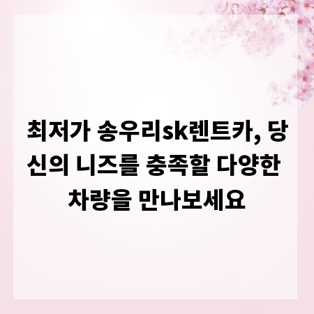 최저가 송우리sk렌트카, 당신의 니즈를 충족할 다양한 차량을 만나보세요