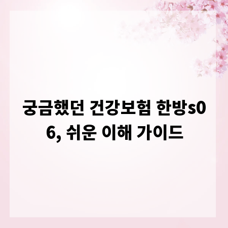 궁금했던 건강보험 한방s06, 쉬운 이해 가이드