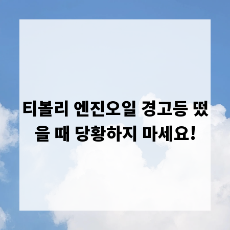 티볼리 엔진오일 경고등 떴을 때 당황하지 마세요!