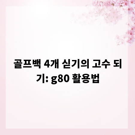 골프백 4개 싣기의 고수 되기: g80 활용법