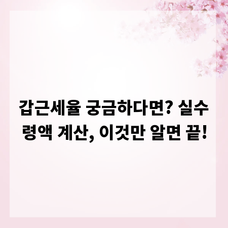 갑근세율 궁금하다면? 실수령액 계산, 이것만 알면 끝!