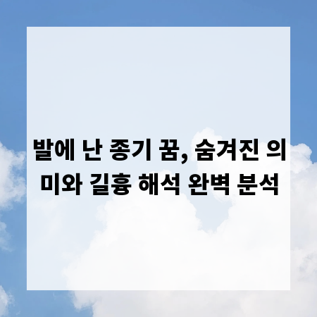 발에 난 종기 꿈, 숨겨진 의미와 길흉 해석 완벽 분석