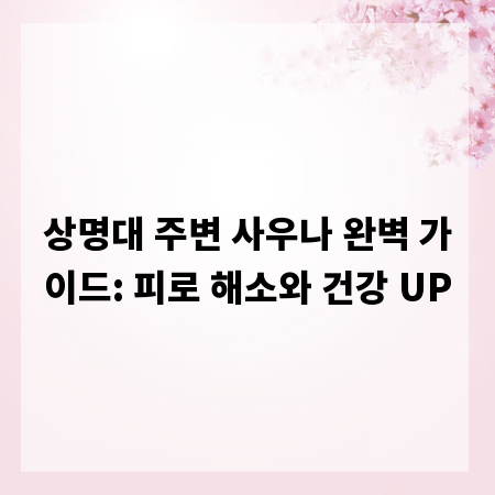 상명대 주변 사우나 완벽 가이드: 피로 해소와 건강 UP