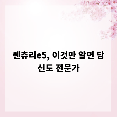 쎈츄리e5, 이것만 알면 당신도 전문가