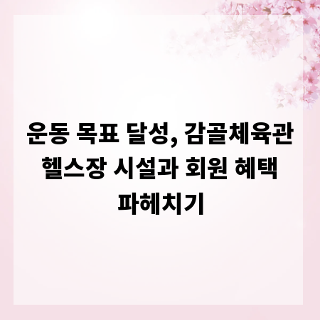 운동 목표 달성, 감골체육관 헬스장 시설과 회원 혜택 파헤치기