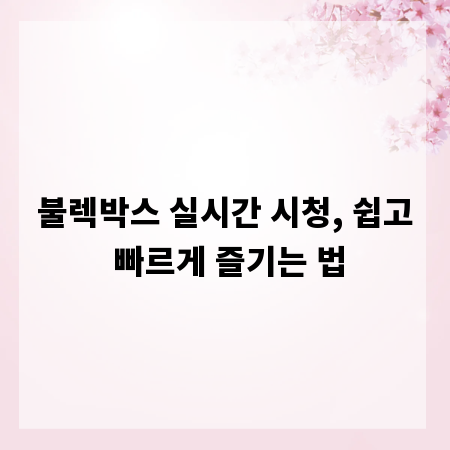 불렉박스 실시간 시청, 쉽고 빠르게 즐기는 법