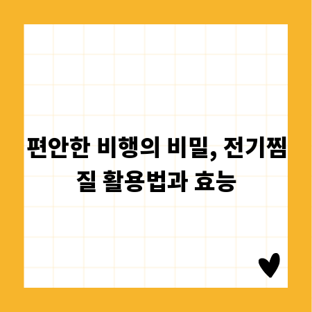 편안한 비행의 비밀, 전기찜질 활용법과 효능