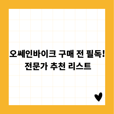 오쎄인바이크 구매 전 필독! 전문가 추천 리스트