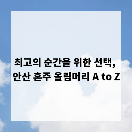 최고의 순간을 위한 선택, 안산 혼주 올림머리 A to Z