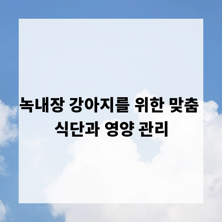 녹내장 강아지를 위한 맞춤 식단과 영양 관리