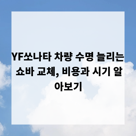 YF쏘나타 차량 수명 늘리는 쇼바 교체, 비용과 시기 알아보기