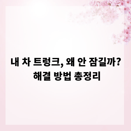 내 차 트렁크, 왜 안 잠길까? 해결 방법 총정리