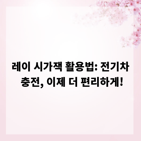 레이 시가잭 활용법: 전기차 충전, 이제 더 편리하게!