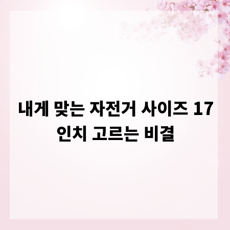 내게 맞는 자전거 사이즈 17인치 고르는 비결