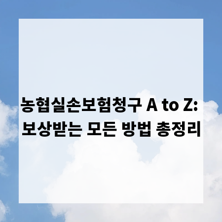 농협실손보험청구 A to Z: 보상받는 모든 방법 총정리